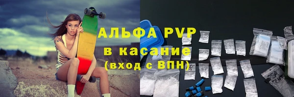 трава Осинники