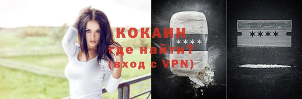 прущие крисы Пересвет