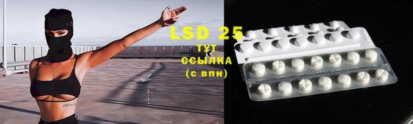 трава Осинники